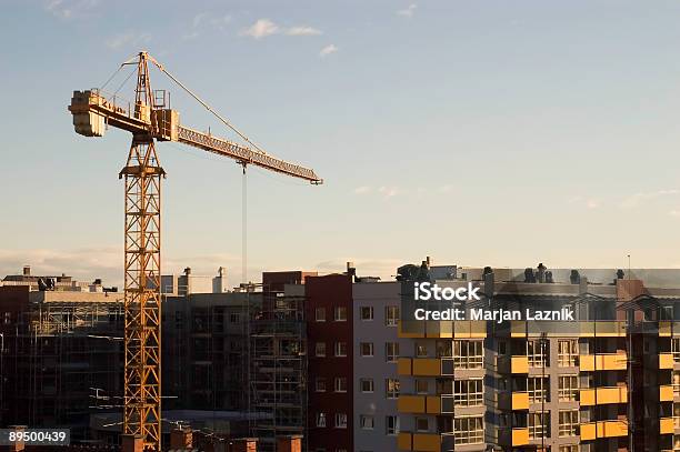 Foto de Crane e mais fotos de stock de Apartamento - Apartamento, Apoiado, Apoio