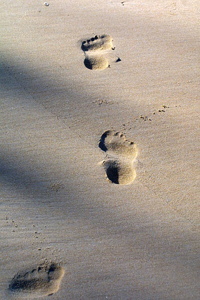 Huellas en la arena - foto de stock