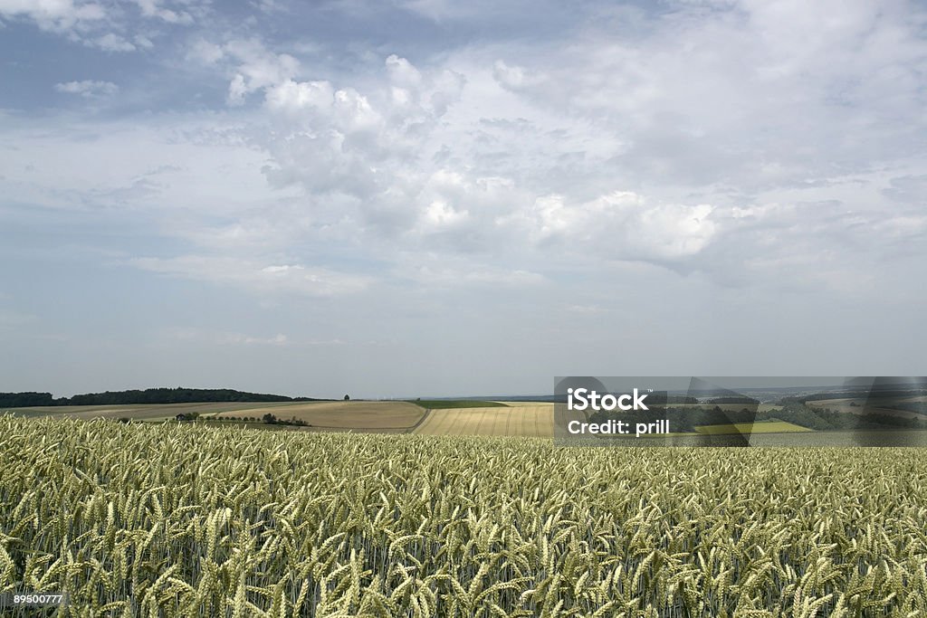 Rurale vista panoramica in hohenlohe - Foto stock royalty-free di Agricoltura