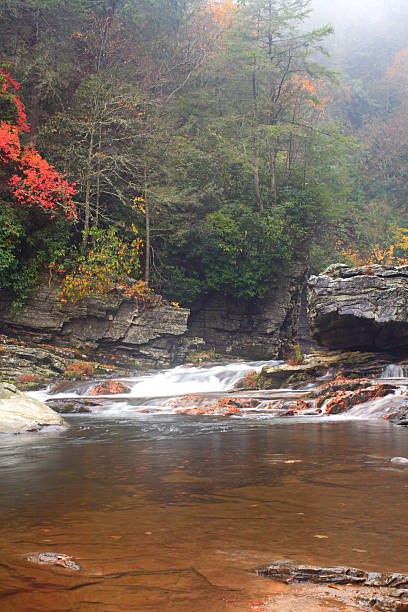 река линвилл - north carolina mountain river autumn стоковые фото и изображения