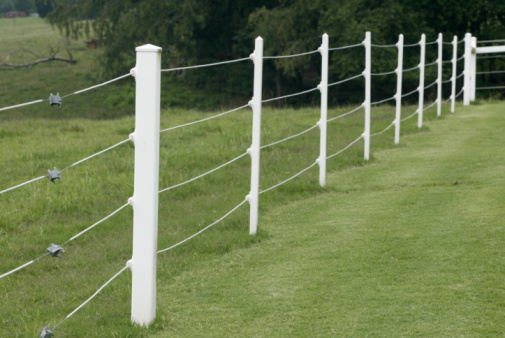 Electrical fence and post in a field.