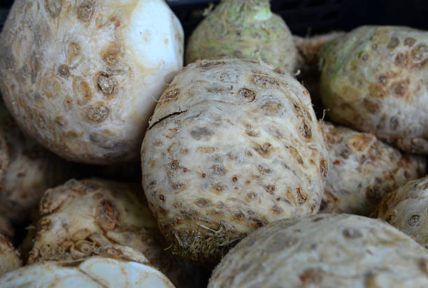 istock Organic celery root and leaves fresh from the farm. Background 895014872