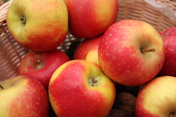 istock Apples in yellow and red colors 895015374