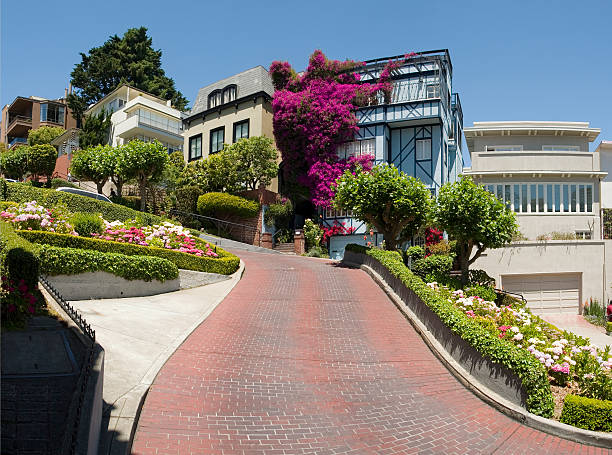 istock Lombard Street San Francisco 89501560