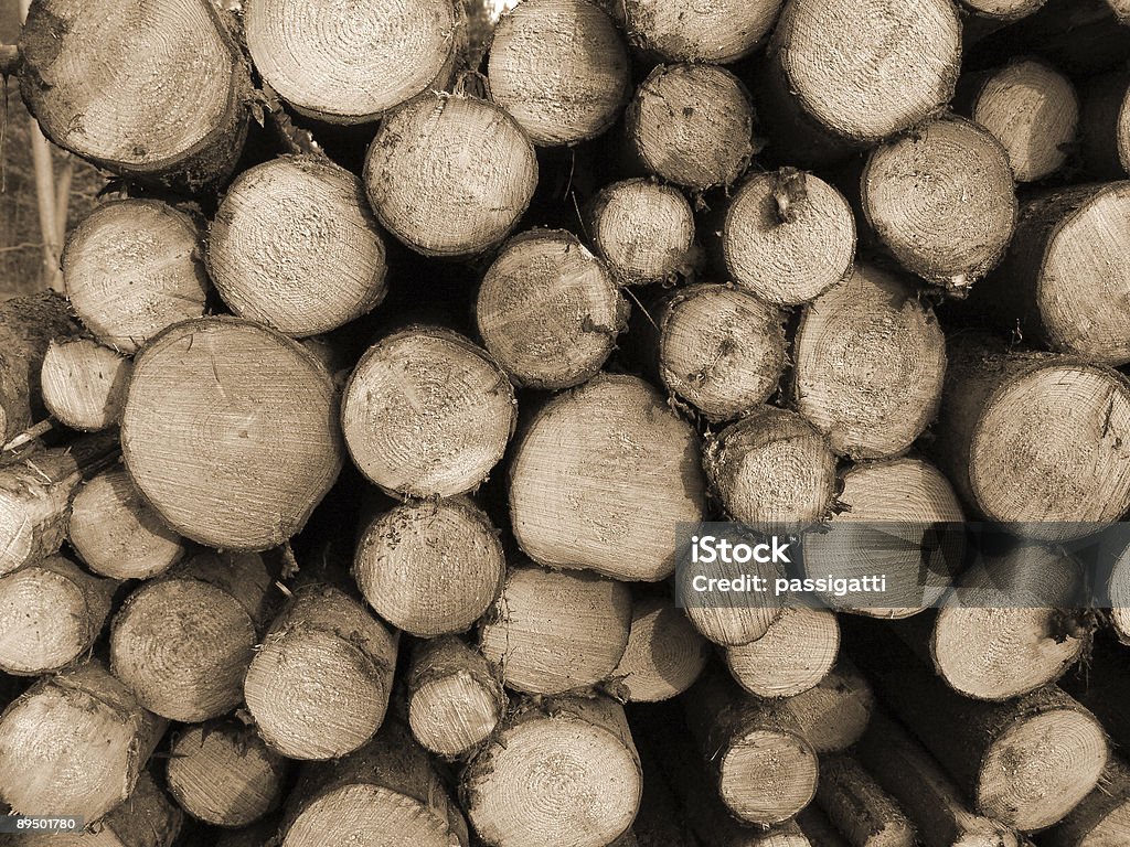 Cut Holz - Lizenzfrei Abholzung Stock-Foto