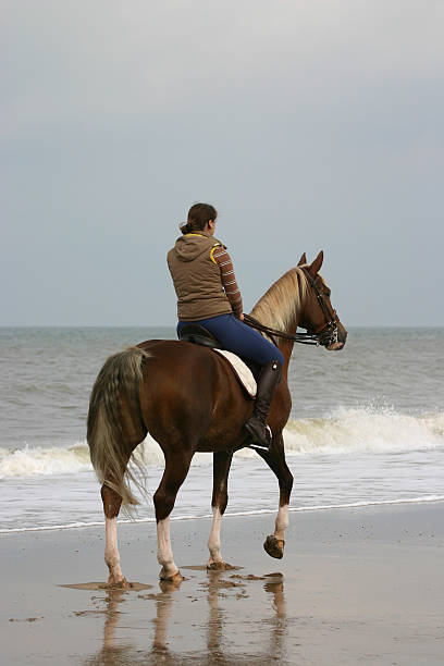 istock Rider at the beach 89501935