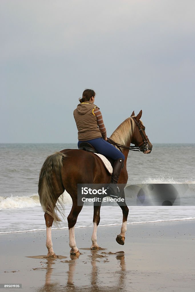 Rider at the beach  Horseback Riding Stock Photo