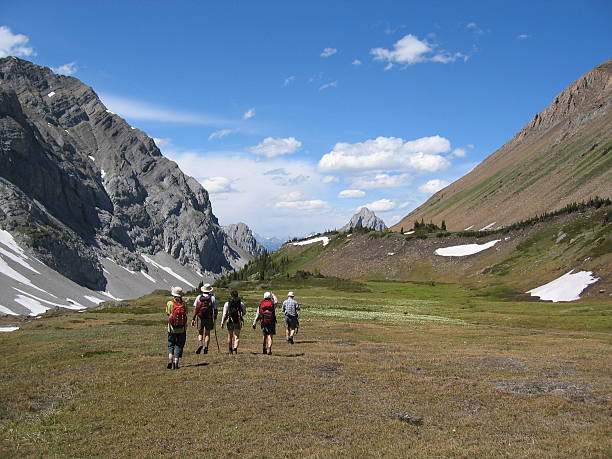 passo de montanha - kananaskis country imagens e fotografias de stock