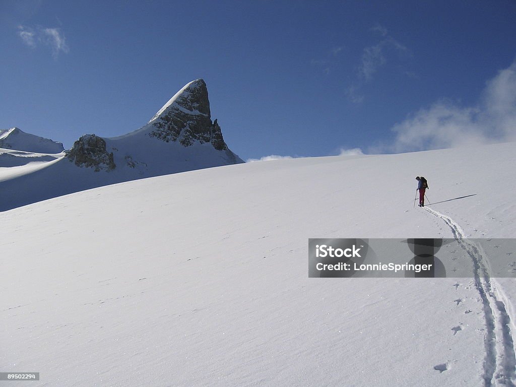 Mountain Skiing  Moving Up Stock Photo