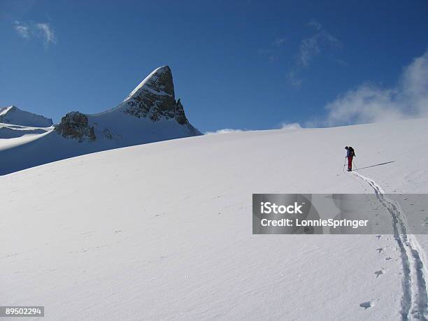 Mountain Skiing Stock Photo - Download Image Now - Moving Up, Rocky Mountains - North America, Adult