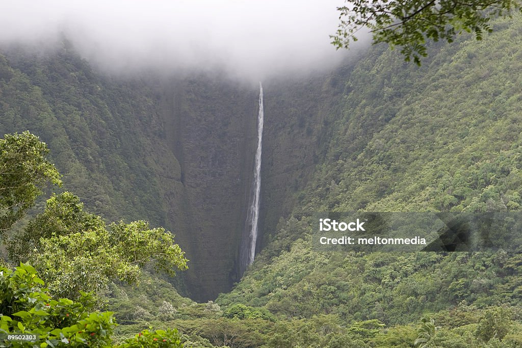 Hawaiian cachoeira - Foto de stock de Big Island - Ilhas do Havaí royalty-free