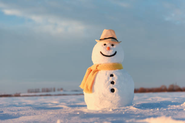 istock Funny snowman in yellow hat 895028078