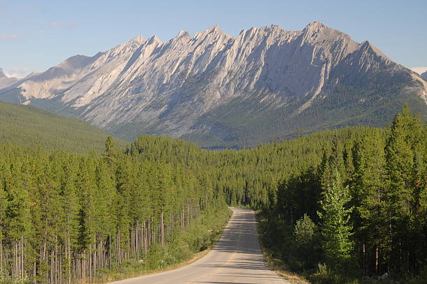 istock Highway in the Rocky Mountains 89503026