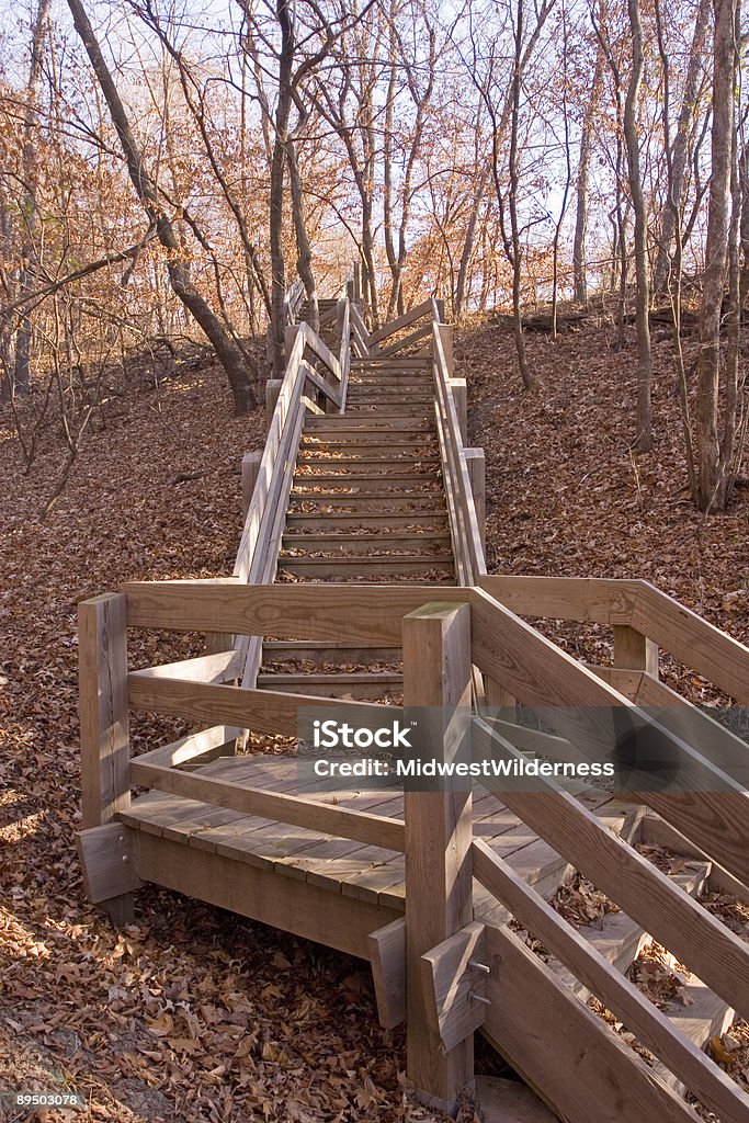 Sendero de excursionismo escalera - Foto de stock de Estilo de vida saludable libre de derechos
