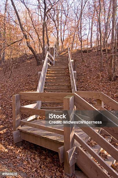 Sendero De Excursionismo Escalera Foto de stock y más banco de imágenes de Estilo de vida saludable - Estilo de vida saludable, Región central de EEUU, Actividades y técnicas de relajación