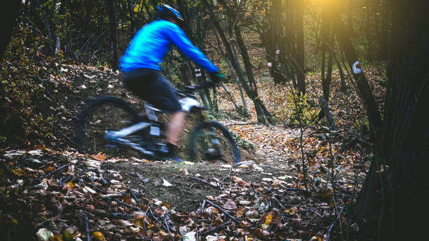 istock Biker riding bike through forest 895030878