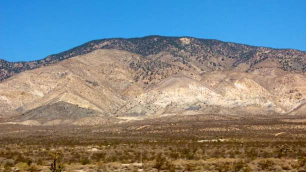 istock Desert in California 895033658