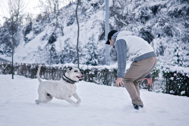 Man playing with his dog in snowy outdoors
