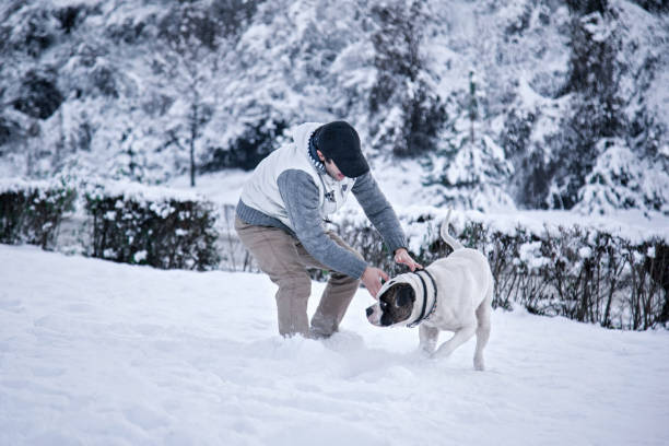 istock Young man with dog in the nature 895036338