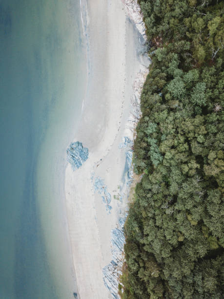 istock Drone view of Tadoussac over Pointe Rouge beach 895039346