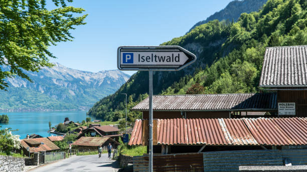 scenary ze szwajcarskiego miasta iseltwald z jeziorem brienz. - berne canton zdjęcia i obrazy z banku zdjęć