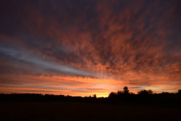 istock Beautiful colorful sky over the forest at dawn 895042702
