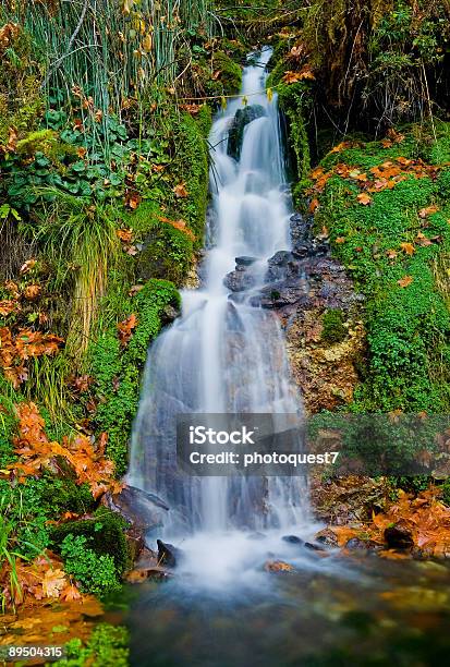 Cascata - Fotografias de stock e mais imagens de As Américas - As Américas, Beleza natural, Cair