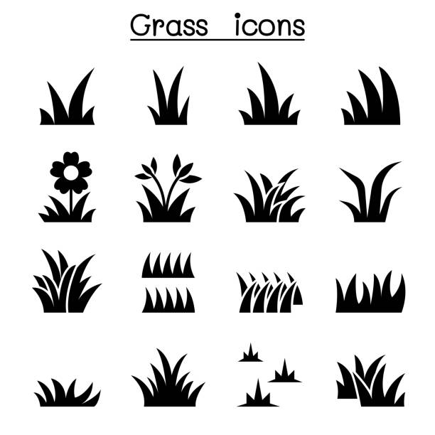 illustrations, cliparts, dessins animés et icônes de graphisme illustration de jeu d’icônes de l’herbe - grass prairie silhouette meadow