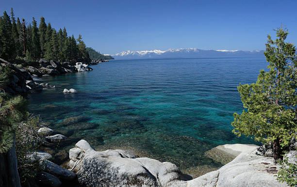 istock Lake Tahoe Shoreline 89504793