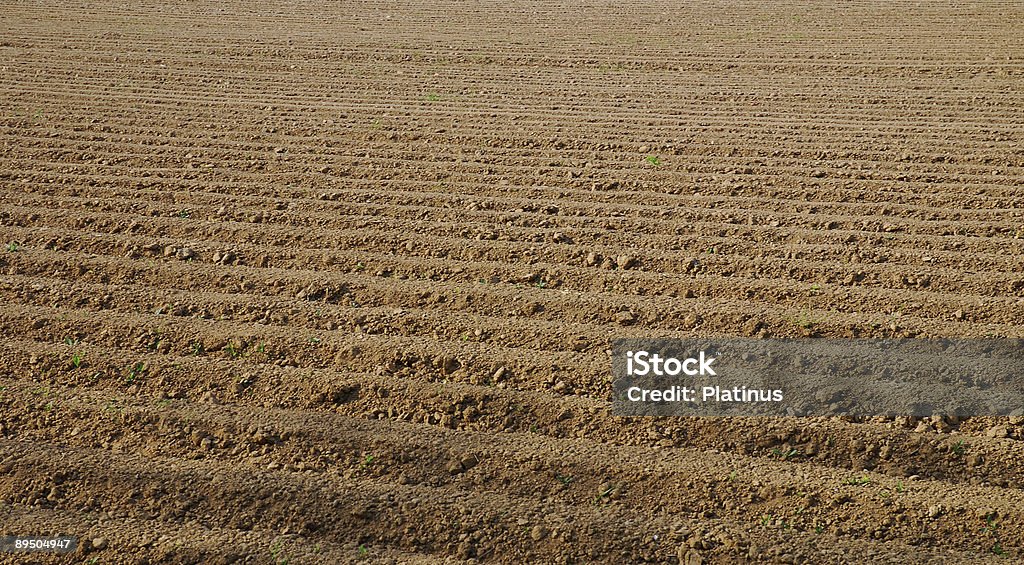 tillage brown background  Abstract Stock Photo