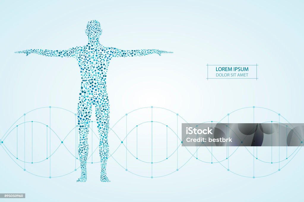 Cuerpo humano abstracto con moléculas de ADN. Concepto de la medicina, la ciencia y la tecnología. Ilustración de vector - arte vectorial de Cuerpo humano libre de derechos