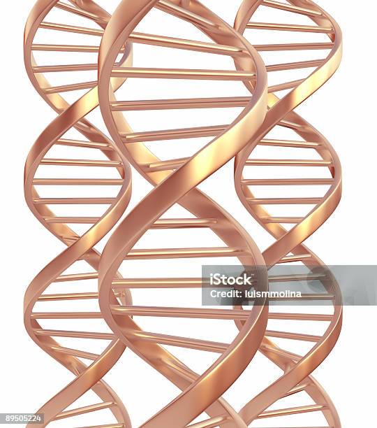 の Dna - DNAのストックフォトや画像を多数ご用意 - DNA, らせん, カラー画像