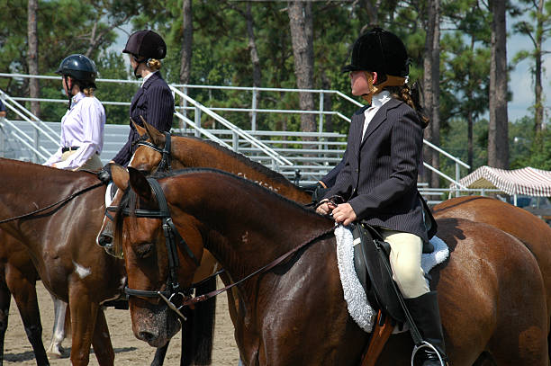 Equestrian sport - dressage (young woman and chestnut stallion)