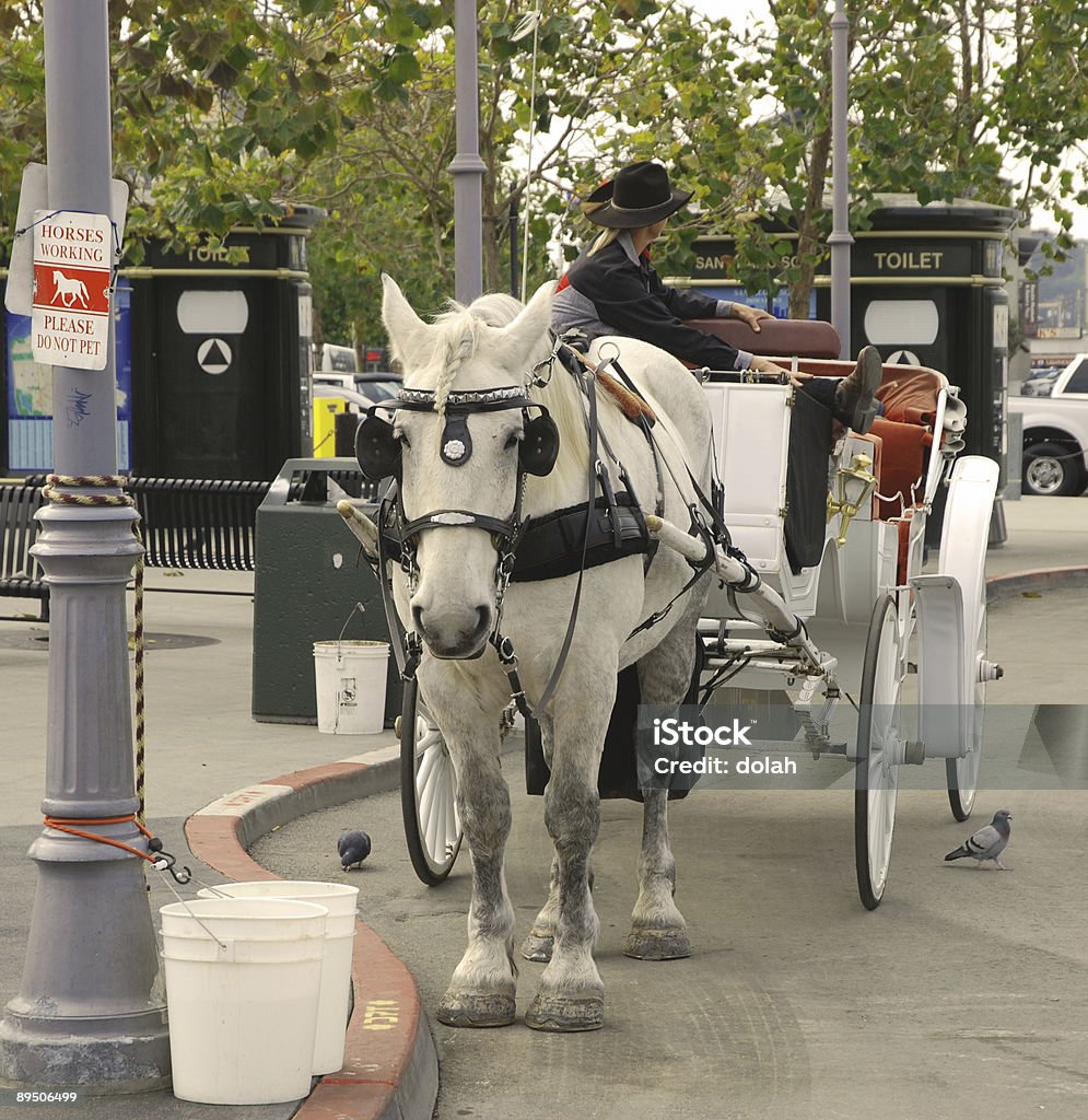 horse and carriage - Foto de stock de Adulto libre de derechos