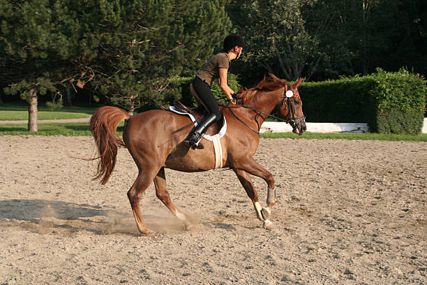 istock Horseriding girl cantering... 89506542