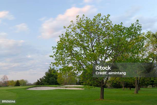 나무 골프 코스에 0명에 대한 스톡 사진 및 기타 이미지 - 0명, 계절, 골프