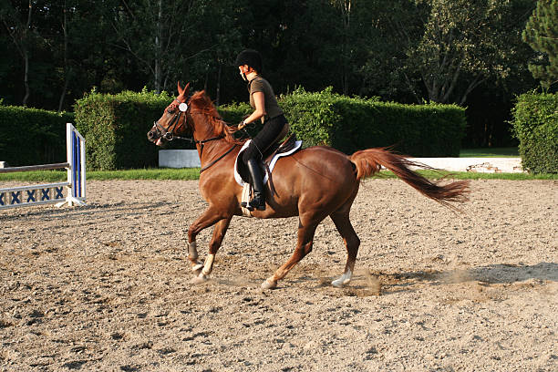 istock Horseback riding, girl cantering fast... 89506561