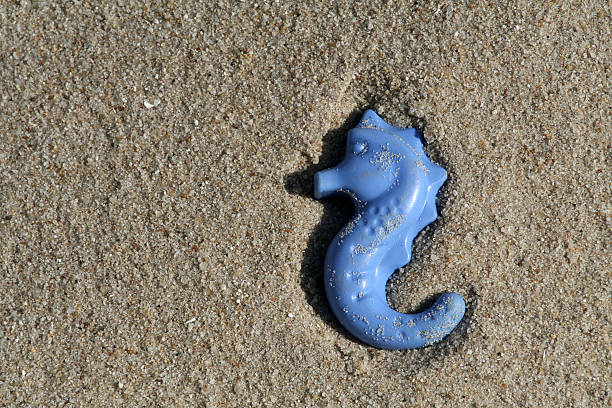 Close-up of a starfish on a sunny beach.
