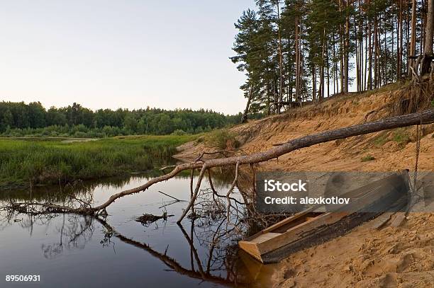 Summer Scenery With Ashored Boat Stock Photo - Download Image Now - Beach, Blue, Branch - Plant Part