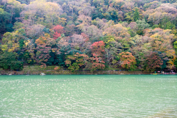 istock Emerald river with autumn colorful forest at Arashiyama 895074762