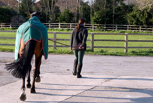 istock women and horse 89507491
