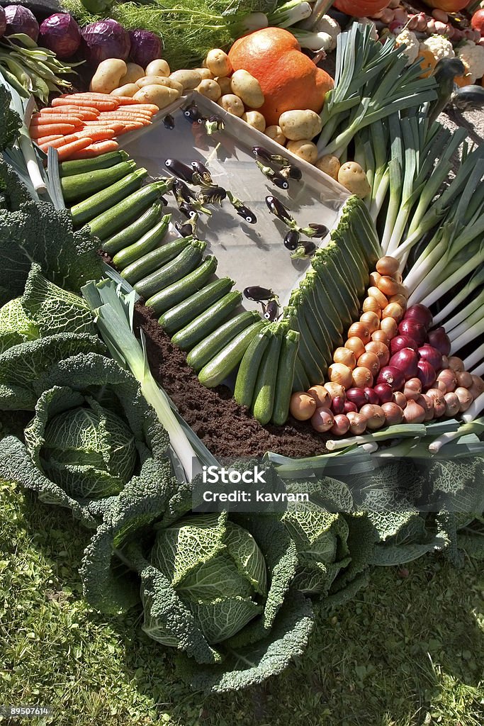 Aquário para eggplants. - Royalty-free Abóbora-Menina - Cucúrbita Foto de stock