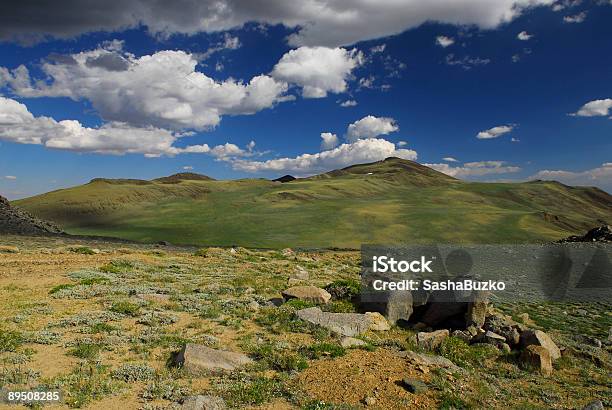 山岳風景には高地でのカリフォルニア州ホワイト山脈 - カラー画像のストックフォトや画像を多数ご用意 - カラー画像, カリフォルニア州, ツンドラ