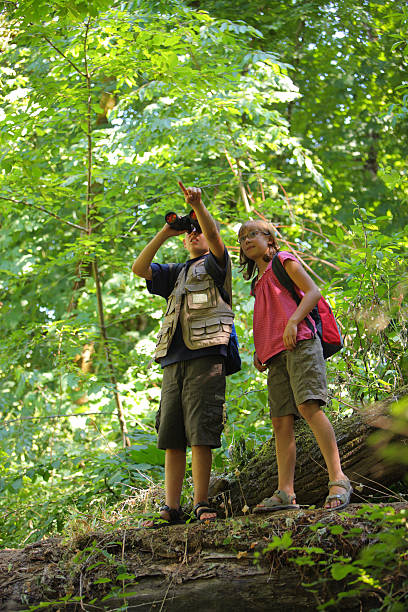 istock A curious girl and boy bird watching in a lush forest  89508687