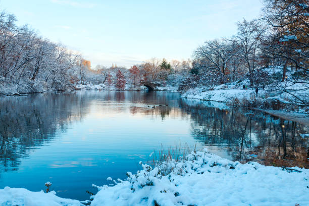 istock Central Park. New York. USA in winter 895088348