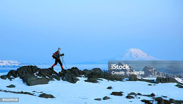 Alpine Avventura - Fotografie stock e altre immagini di Camminare - Camminare, Escursionismo, Monte Rainier