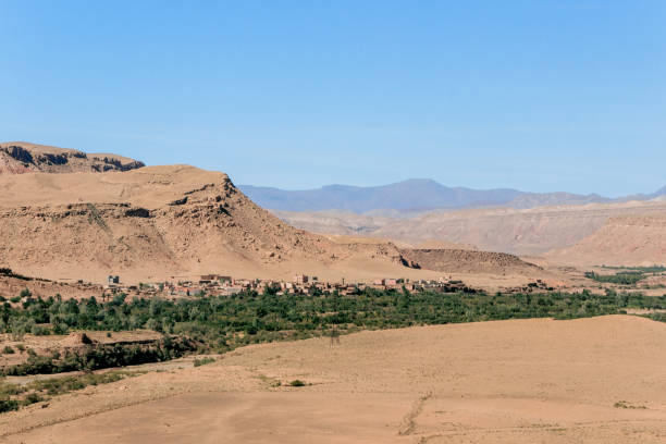 istock green plants in morocco dades valley 895109686