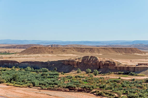 istock green plants at Ait-Ben-Haddou village 895113938