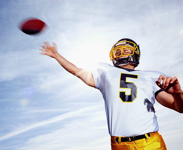 istock Low angle view of a sportsman  89512443