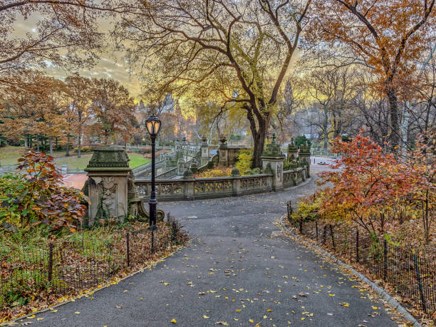 istock Bethesda Terrace and Fountain 895124500